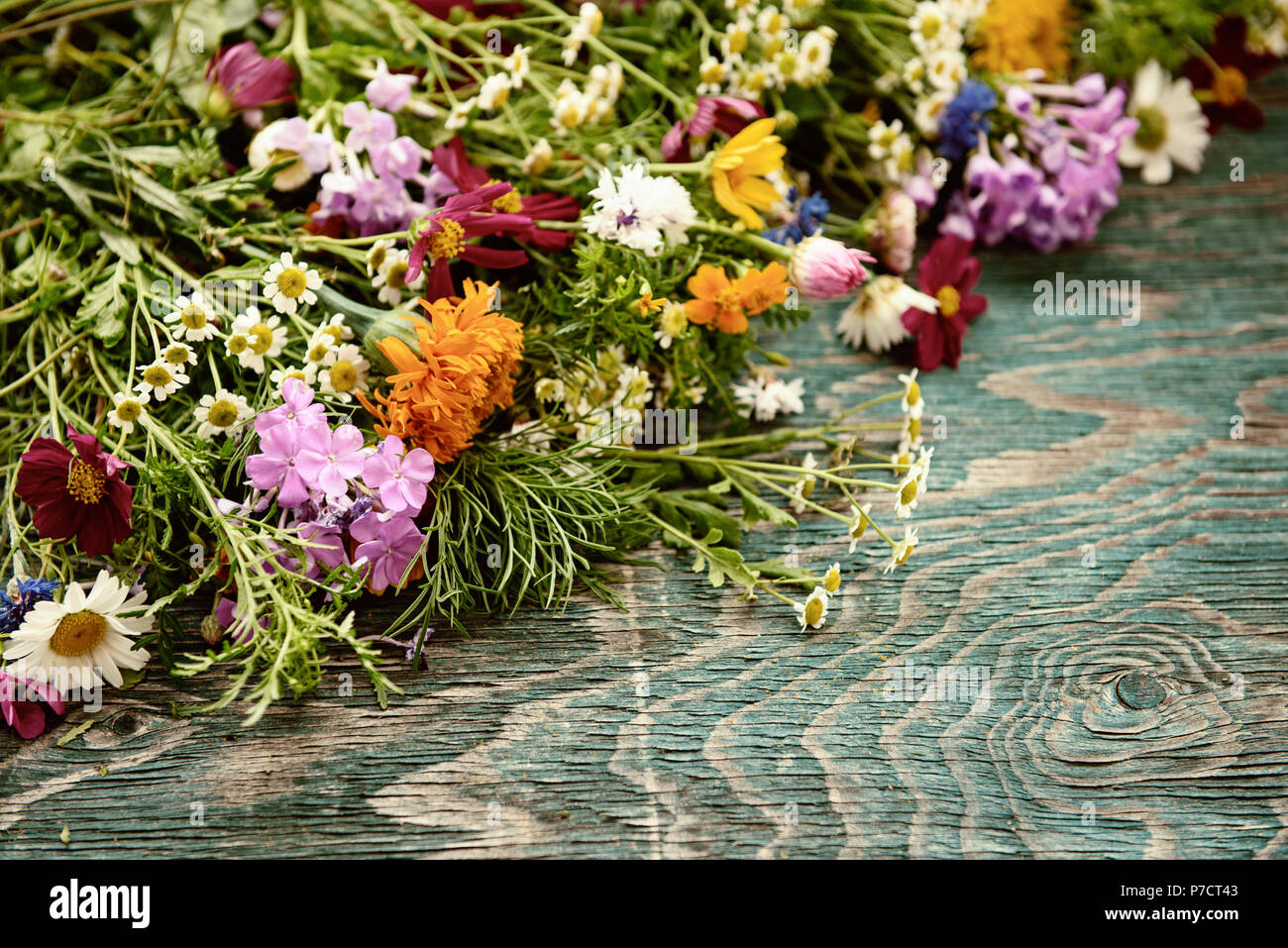 Summer flowers design Stock Photo Alamy