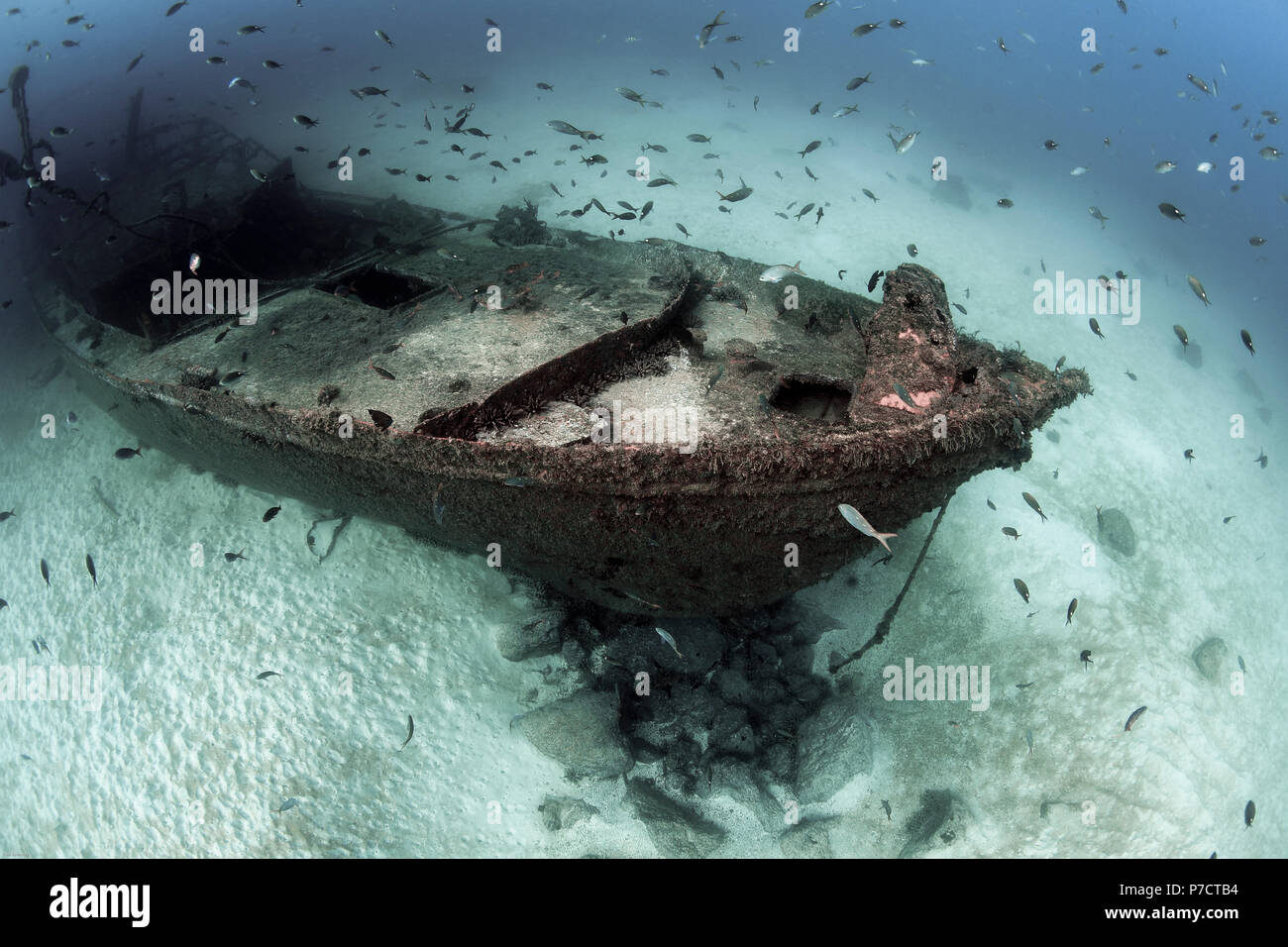 shipwrecks on ocean floor