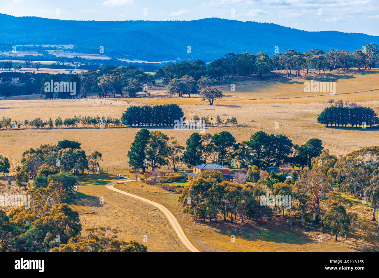 Rural house among trees and fields in Australian countryside Stock