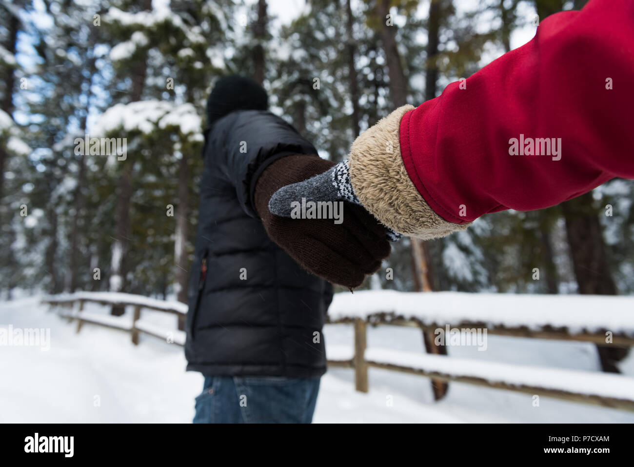Couple holding hands in snow forest Stock Photo