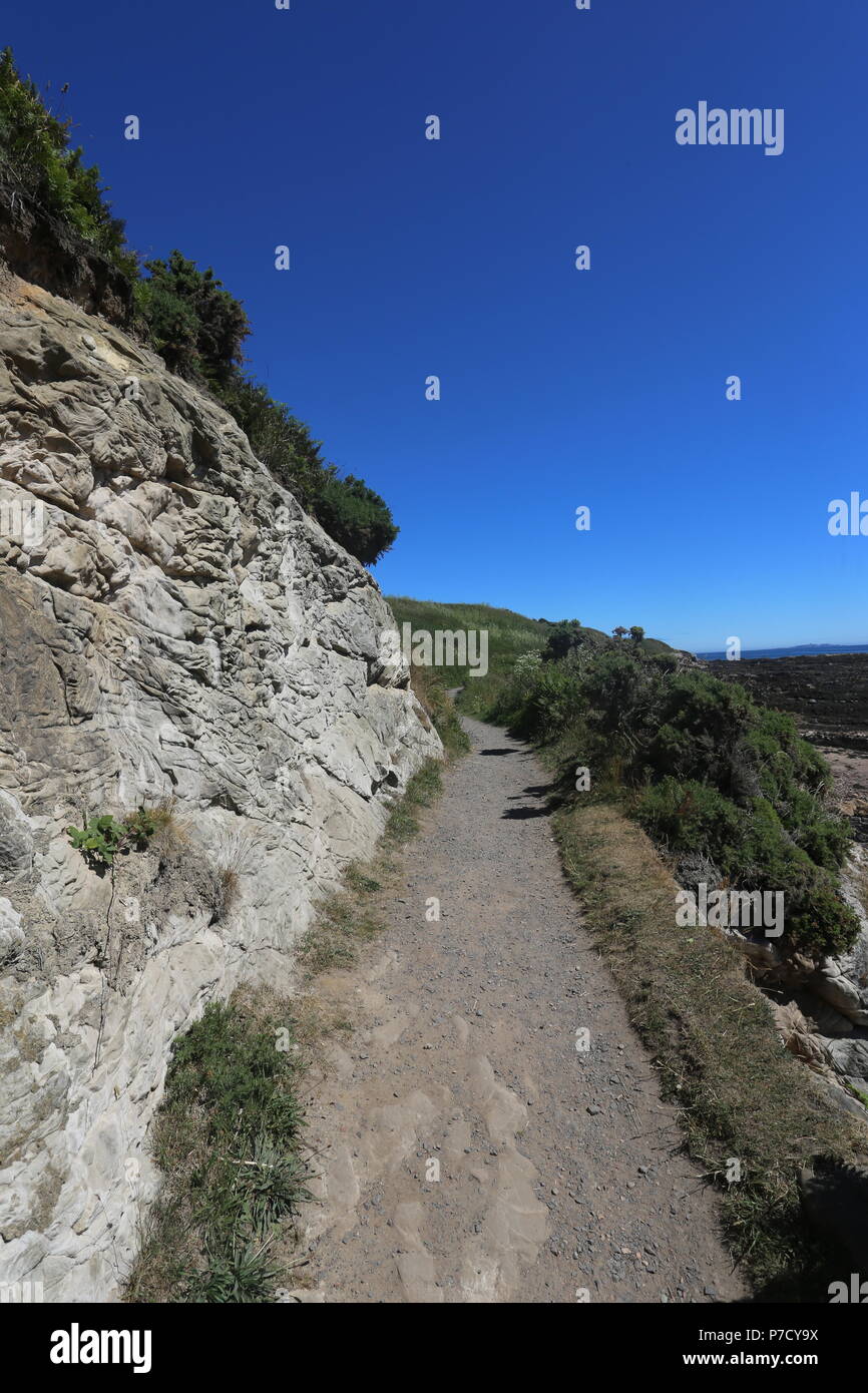 Fife coastal path between St Monans and Pittenweem Fife Scotland July 2018 Stock Photo Alamy