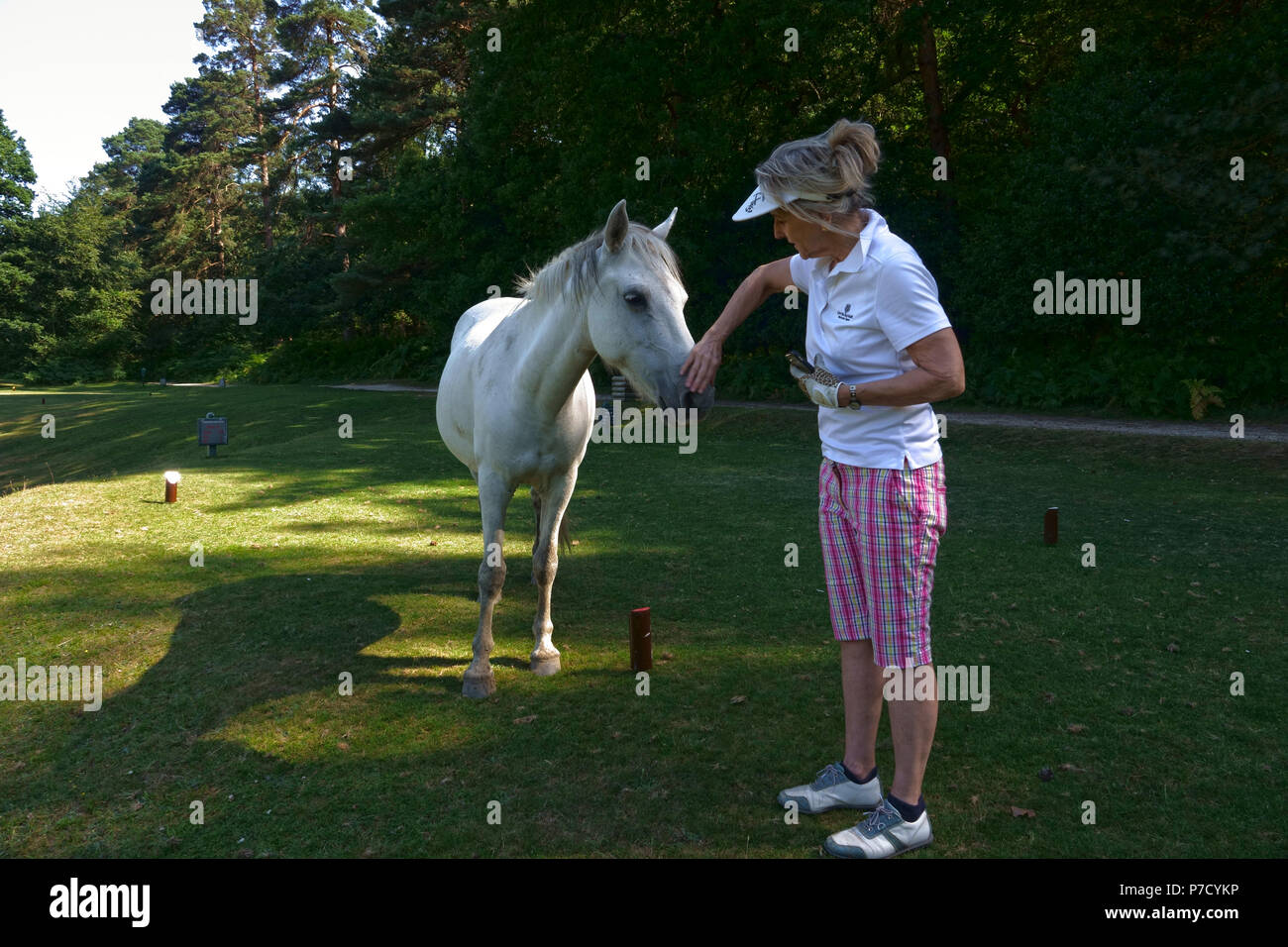 Bramshaw, Hampshire, UK -  July, 2018  Lady golfer pets Iconic 'New Forest Pony' on Bramshaw Golf Club's 10th hole in the New Forest, Hampshire, South Stock Photo