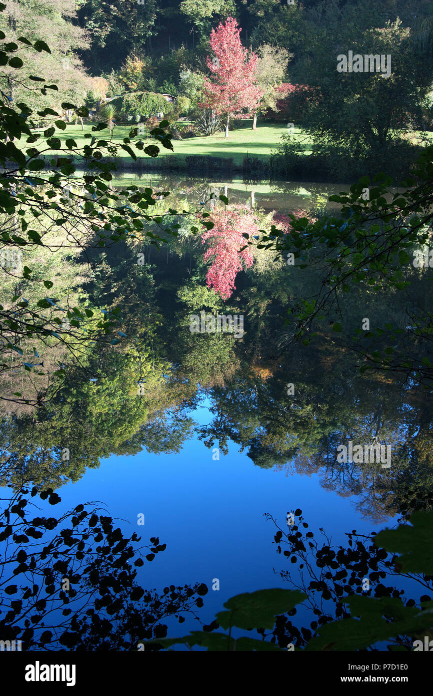 Reflections in lake Stock Photo - Alamy