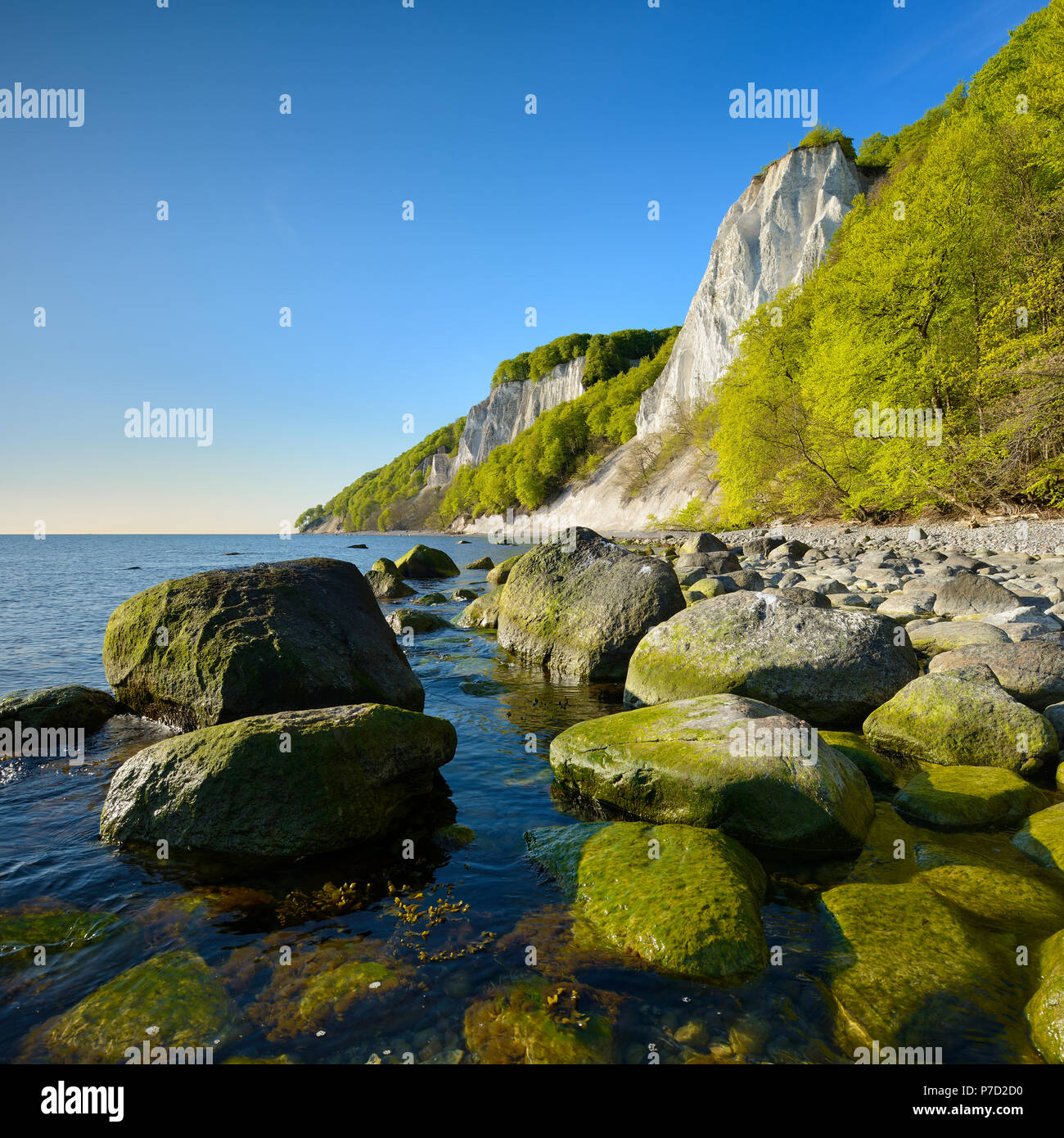 Chalk rocks and boulders on the Baltic Sea in spring, in front the Königsstuhl, behind the Victoria view, fresh green Stock Photo