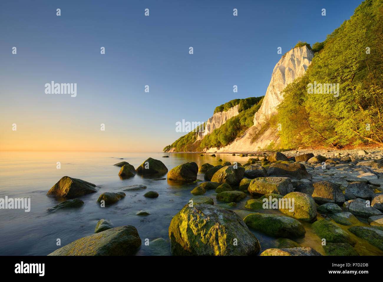 Sunrise at the Baltic Sea, chalk cliffs in the morning light, boulders on the shore, in front the Königsstuhl Stock Photo