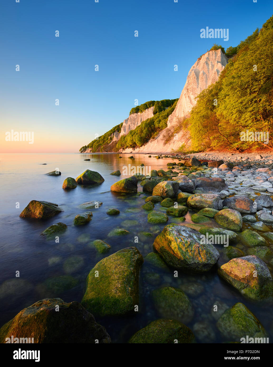 Sunrise at the Baltic Sea, chalk cliffs in the first morning light, boulders on the shore, in front the Königsstuhl Stock Photo