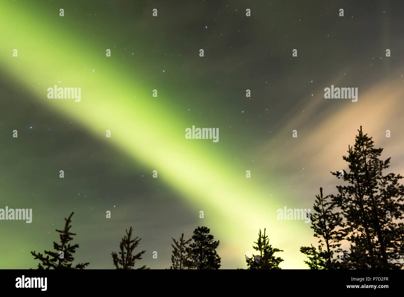 northern lights, aurora borealis over trees Stock Photo - Alamy