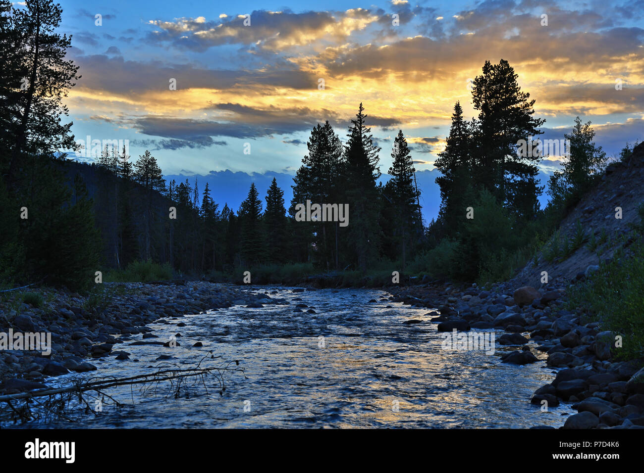 In this scene the setting sun reflects on the Provo River in the Soapstone area of the Uinta Mountains, Uinta-Wasatch-Cache National Forest of Utah. Stock Photo
