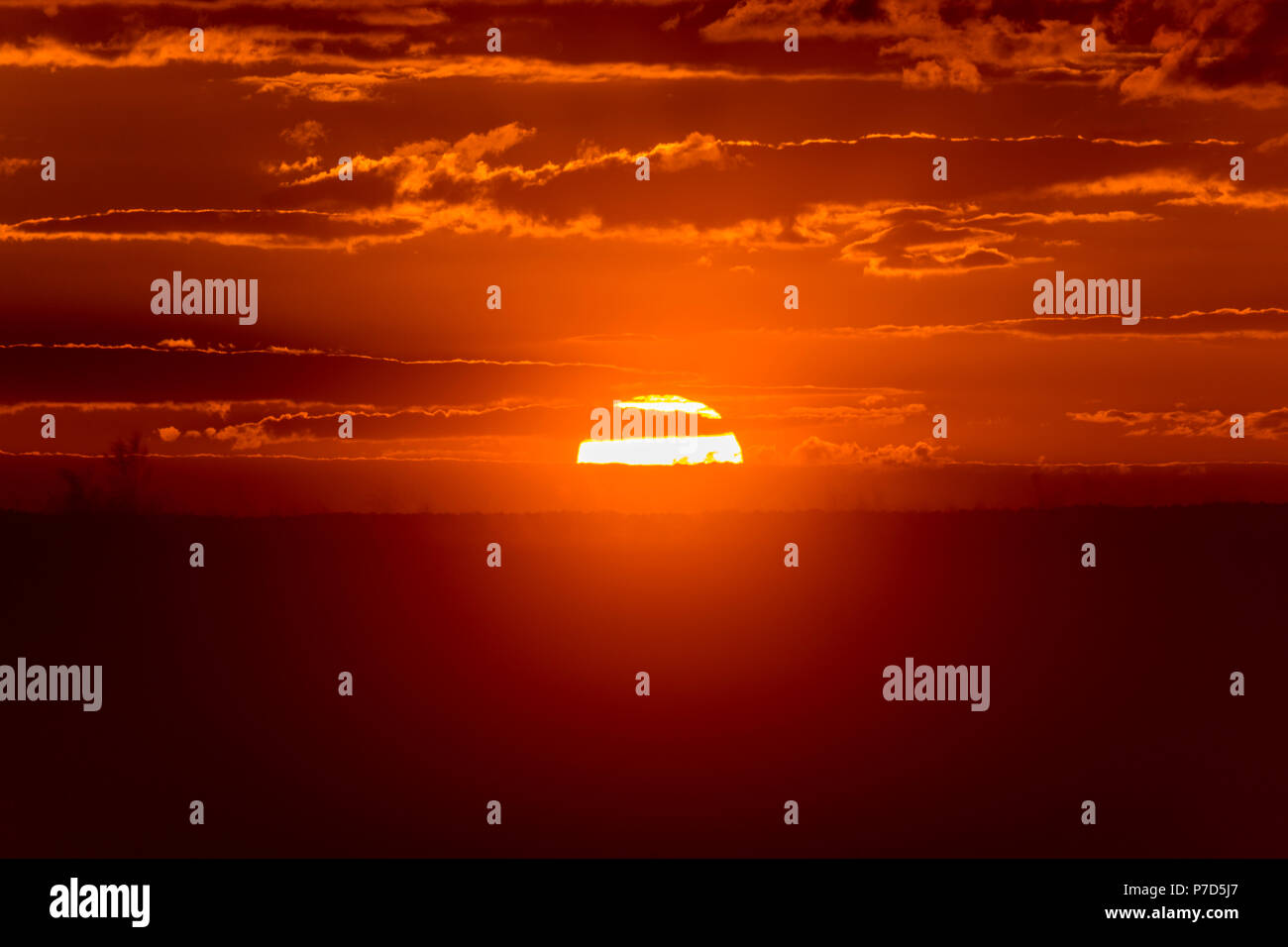 the-sunset-seen-from-the-drachenberg-in-gr-newald-berlin-2016-stock