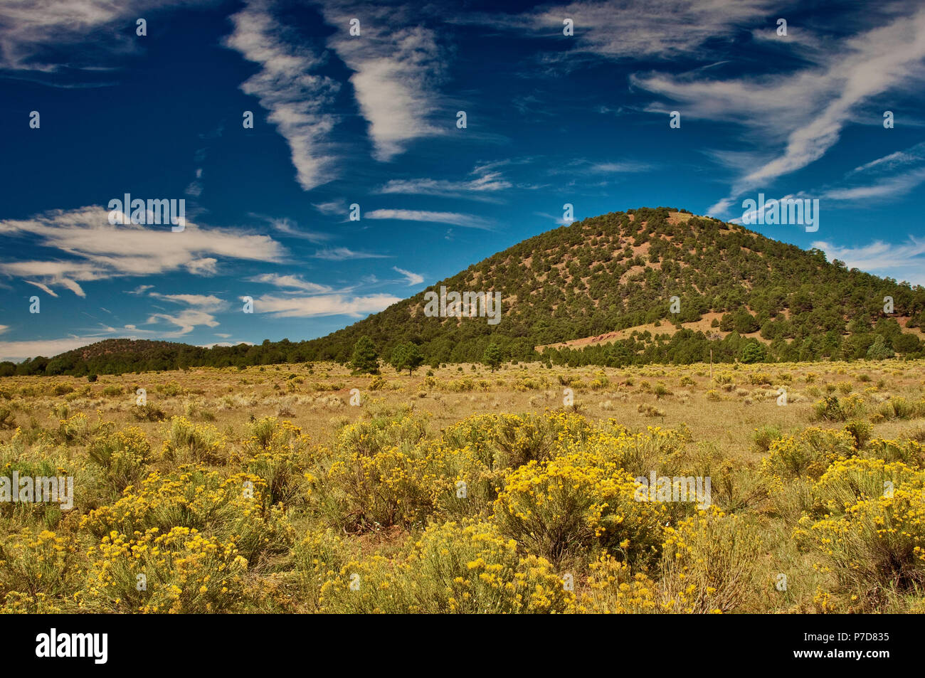 Cerro Americano cinder cone volcano, Chain of Craters Road,  El Malpais National Monument, New Mexico, USA Stock Photo