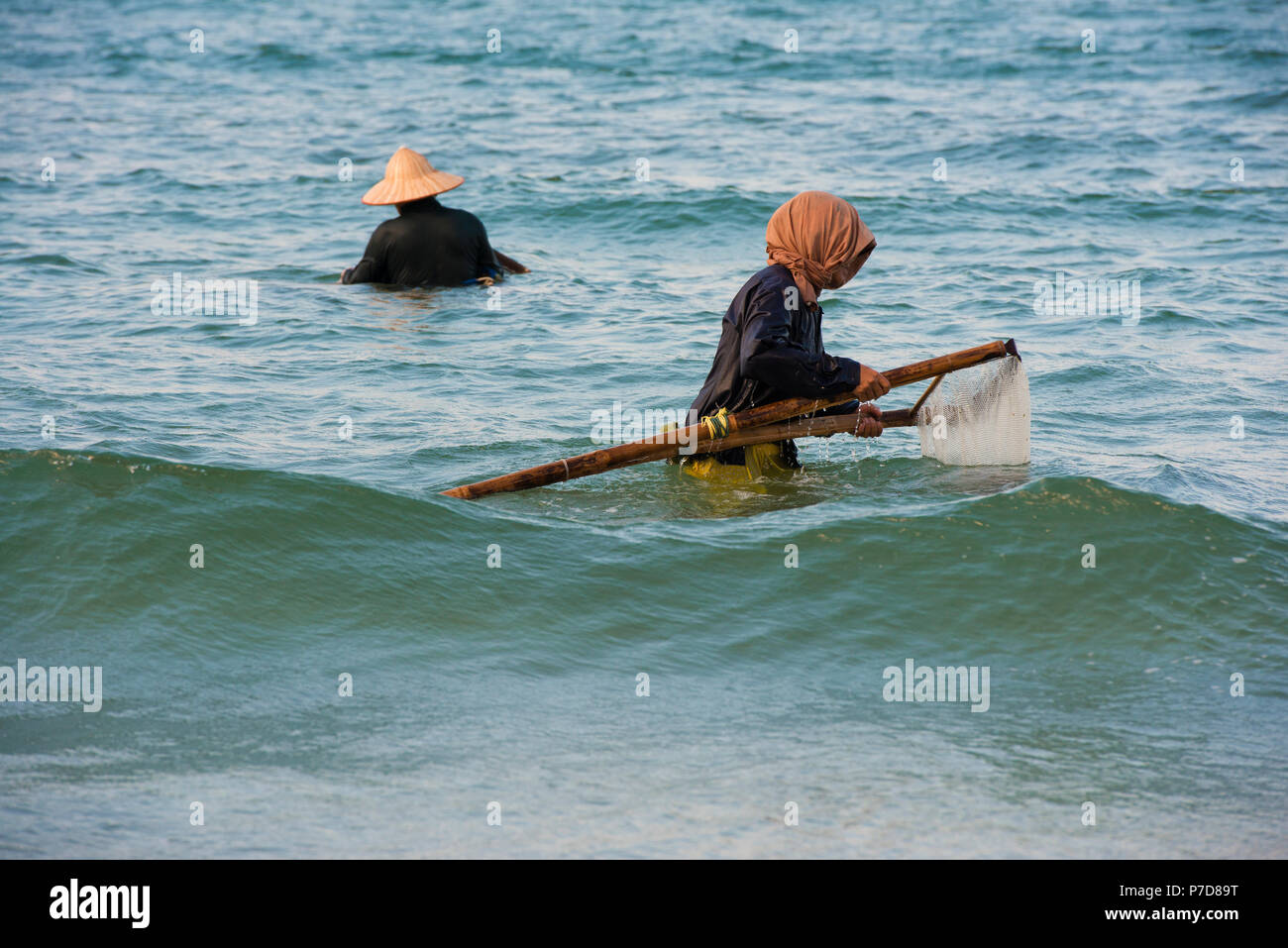 Mussel hunters, shellfish fishermen wearing straw hats, Cua Dai beach in Hoi An, Vietnam Stock Photo