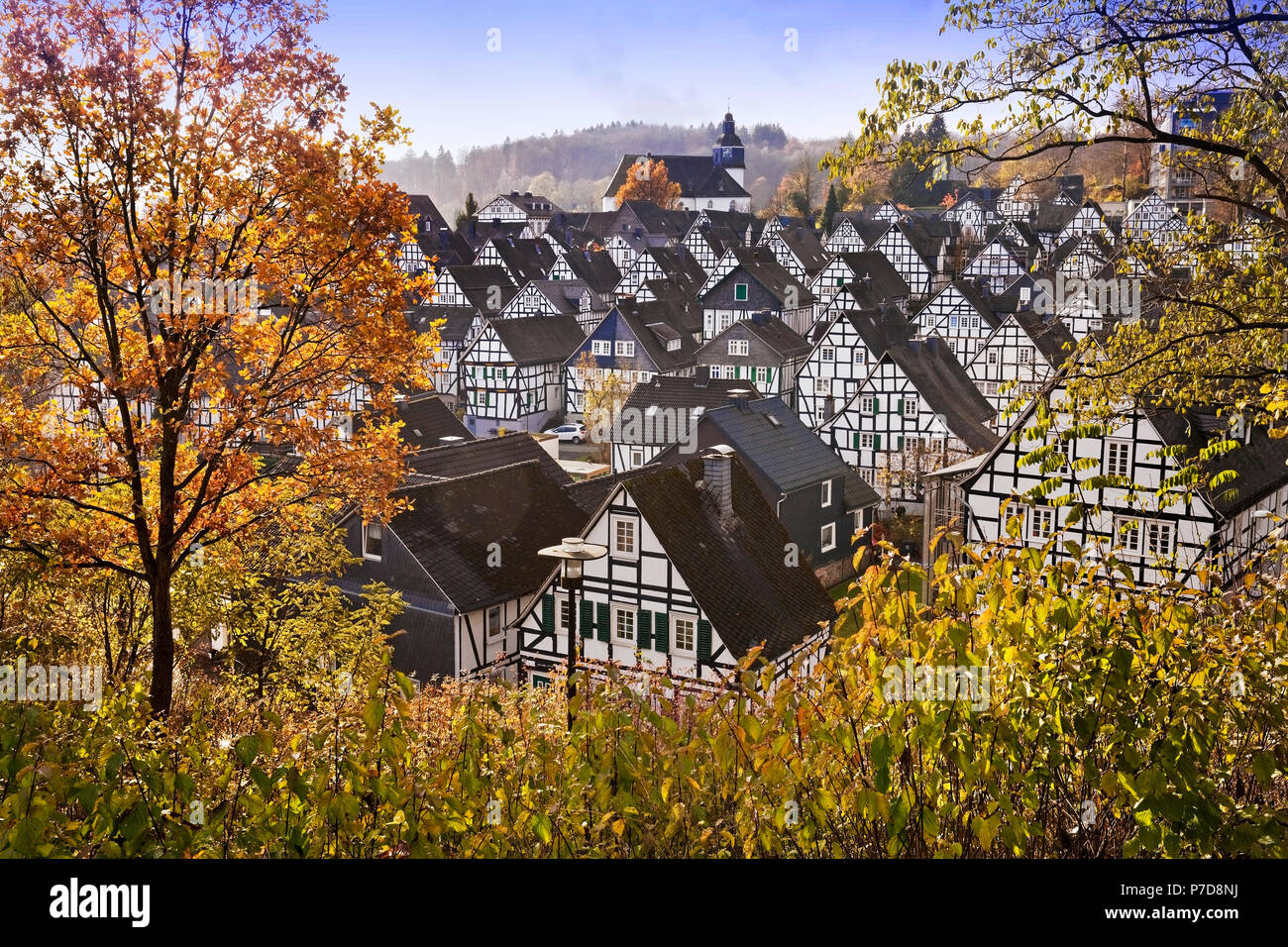 Alter Flecken, historic old town with half-timbered houses in autumn, Freudenberg, Siegerland, North Rhine-Westphalia, Germany Stock Photo