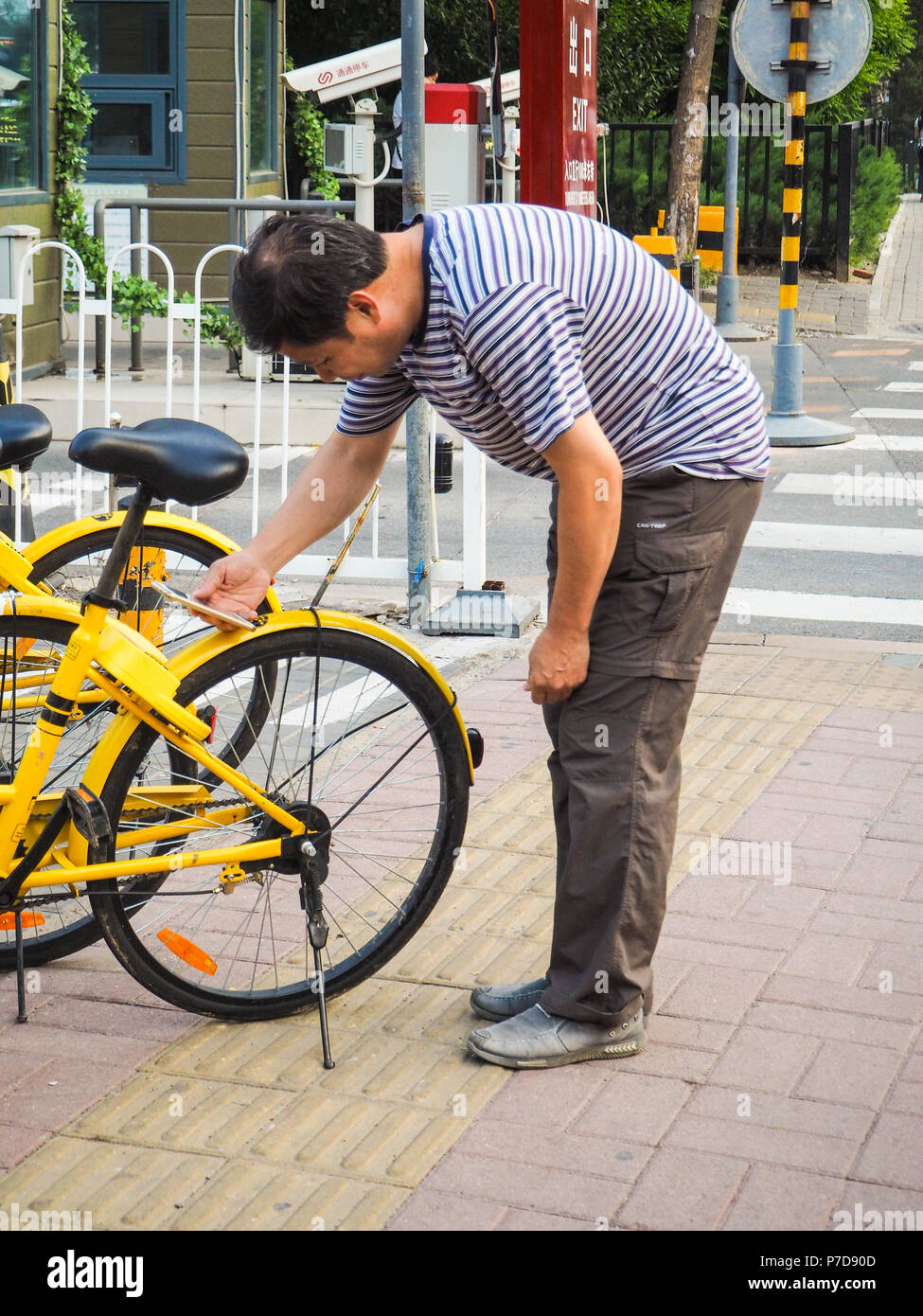 Urban Cycling China