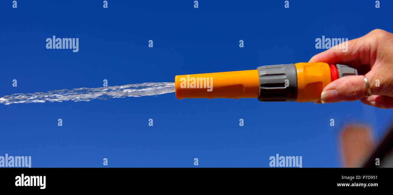 Water spray,Hosepipe water ban, garden hose, watering garden, uk Stock