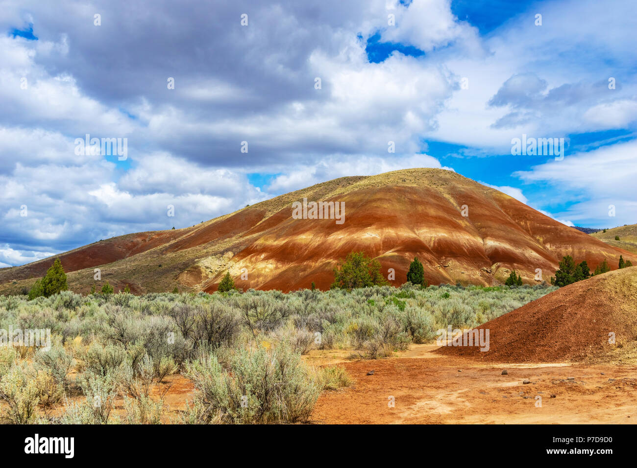 Sedimentary hill in Painted Hills desert, John day Fossil Beds National Monument, Central Oregon, USA. Stock Photo