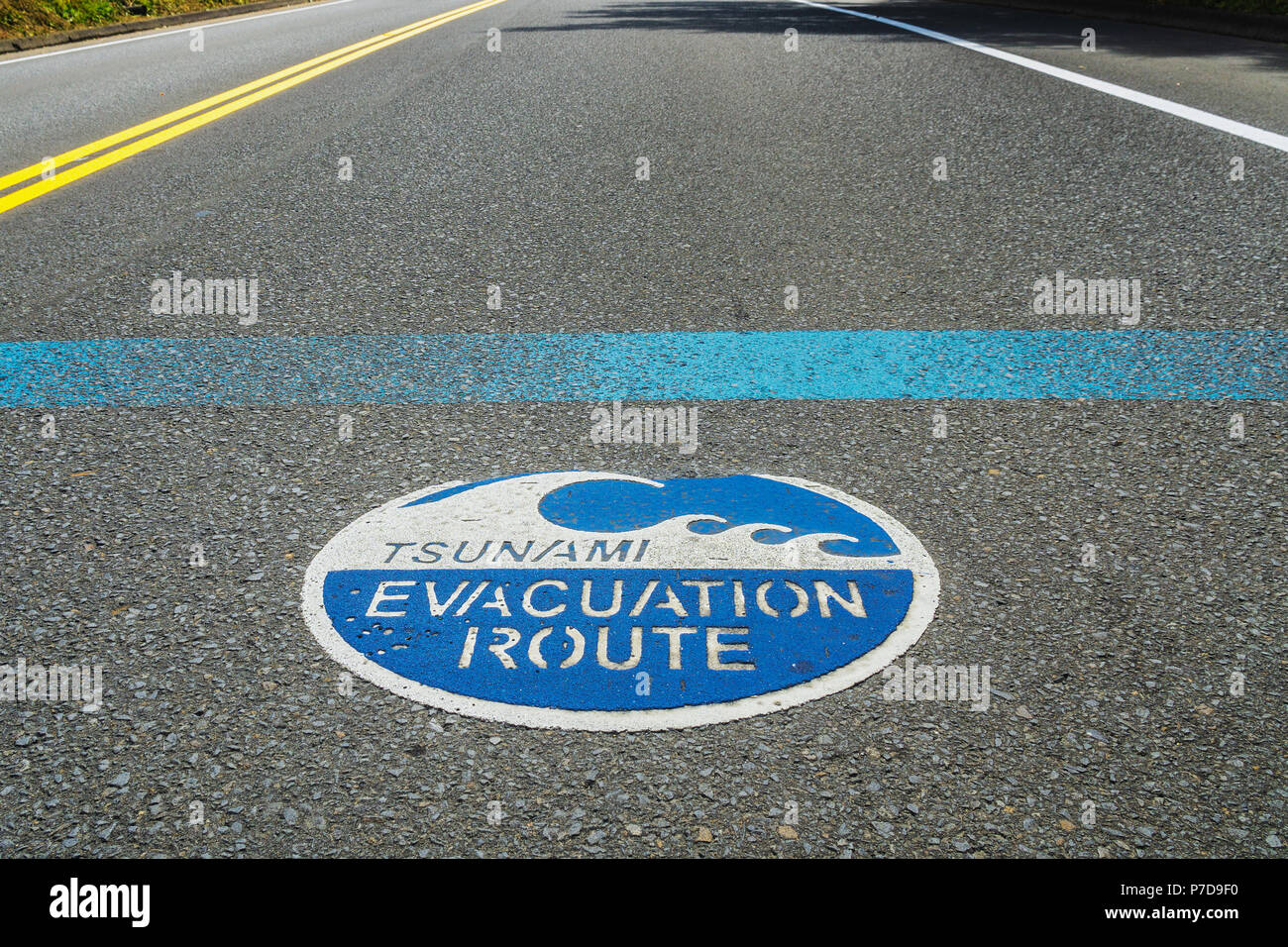 Tsunami zone usa