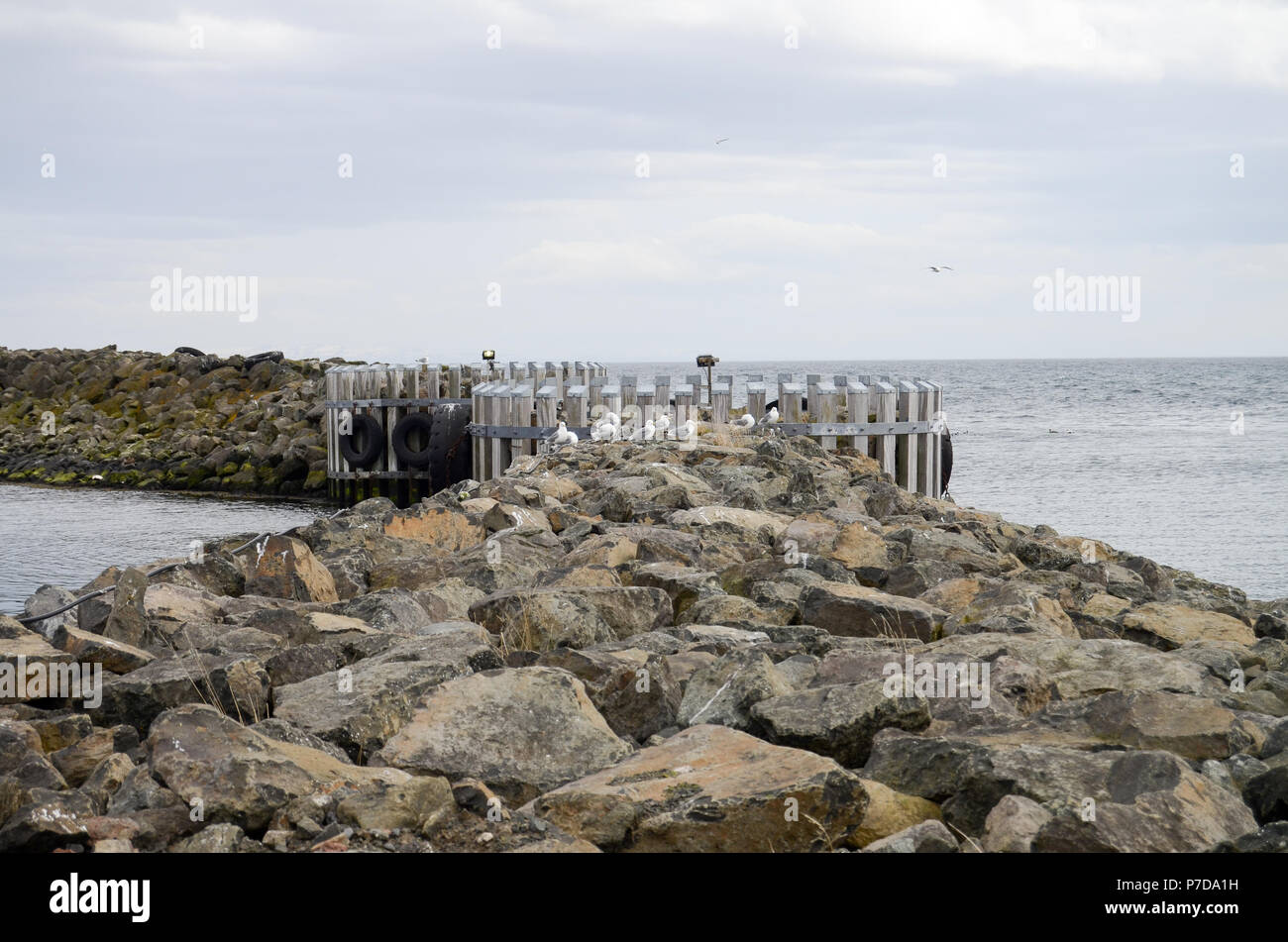 port of grimsey, Iceland Stock Photo
