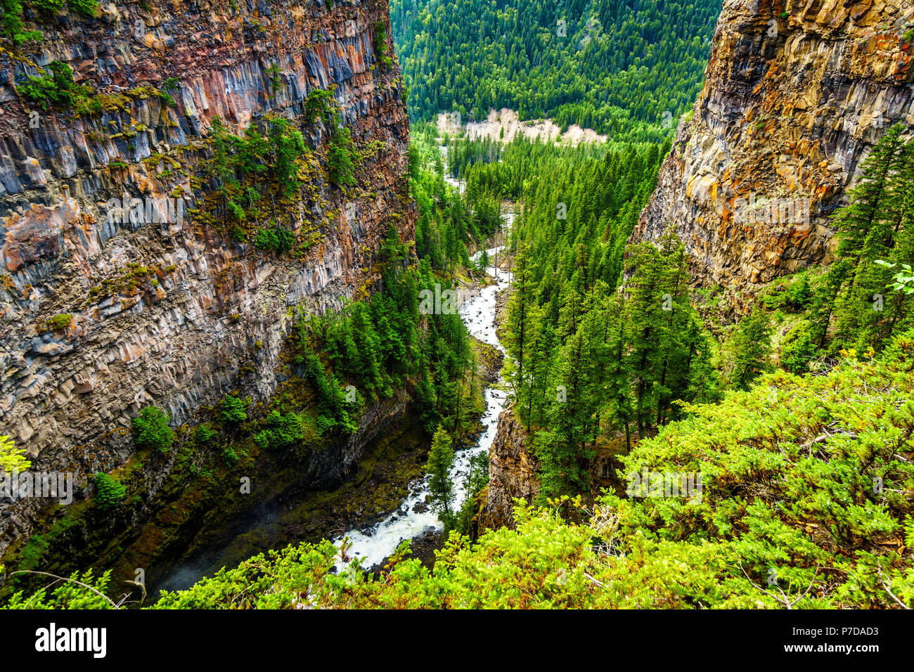 Spahats Creek deep in the canyon right after Spahats Falls and before it runs into the Clearwater River in Wells Gray Provincial Park in BC Canada Stock Photo
