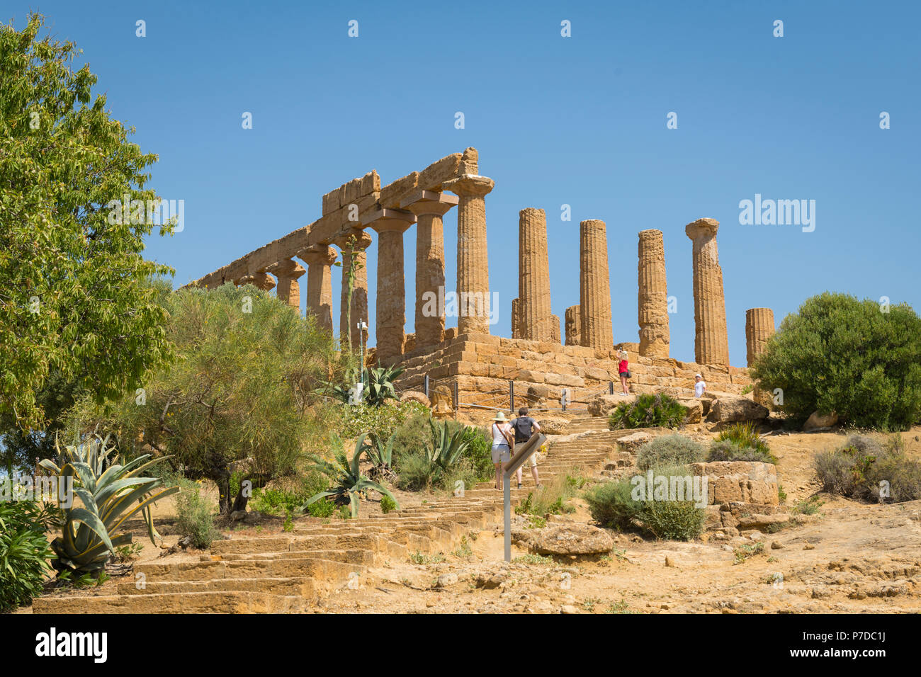 Italy Sicily Agrigento Valle dei Templi Valley of the Temples built 450 BC by colonists from Gela Temple of Hera Lacinia 5th century BCE steps trees Stock Photo