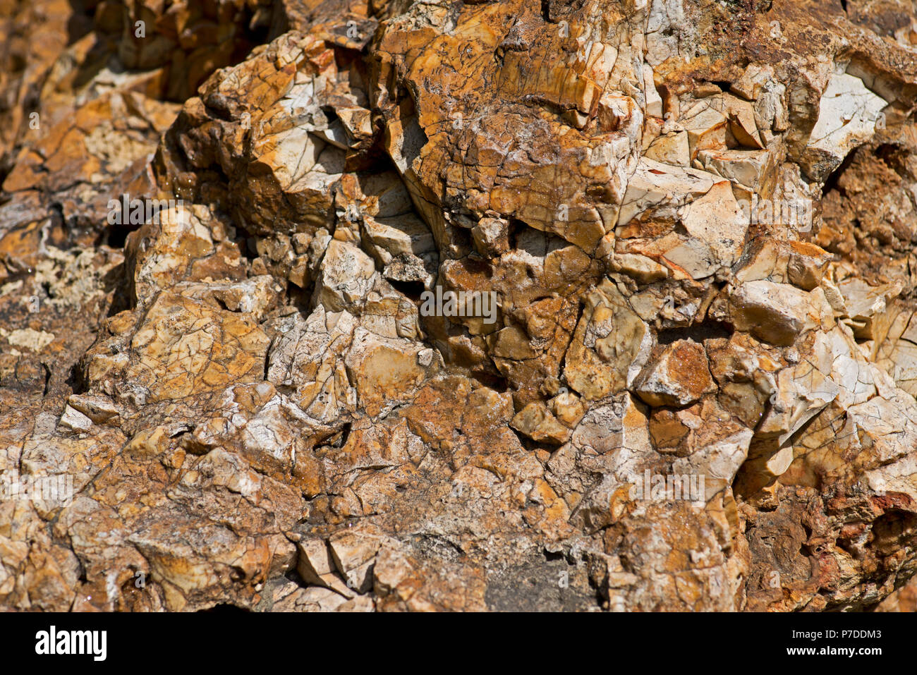 Limestone chert and flint hires stock photography and images Alamy