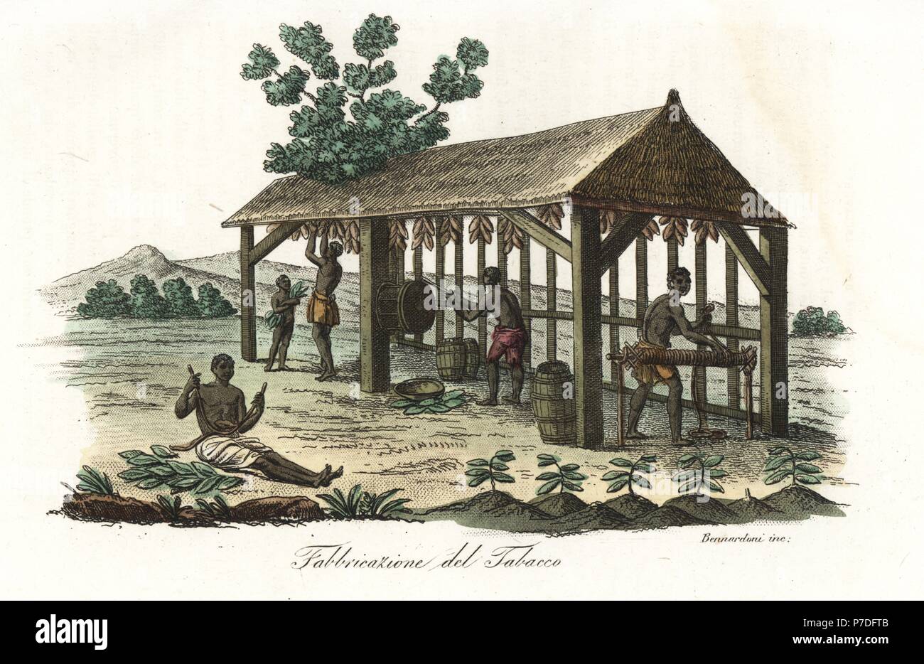 slavery and tobacco plantations Tobacco plantation slaves hi-res stock photography and images