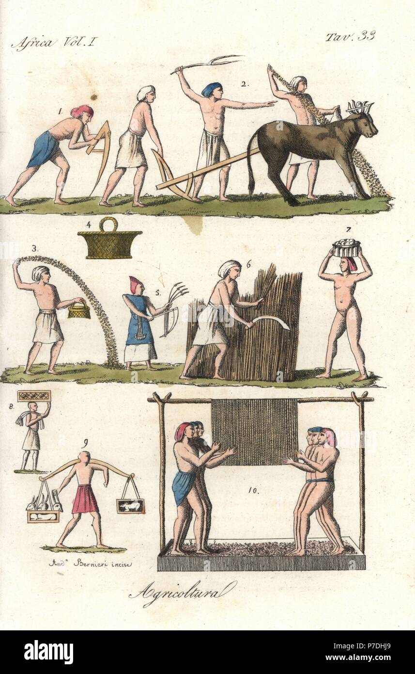 Egyptian agriculture: priest of Osiris with sceptre 1, following a man with plow behind two yoked oxen 2, man sowing seed 3 from a box 4, men harvesting wheat with a scythe 5,6, men carrying produce 7,8,9 and men pressing grapes while holding on to ropes hanging from a horizontal pole 10. Handcoloured copperplate engraving by Andrea Bernieri from Giulio Ferrrario's Costumes Antique and Modern of All Peoples (Il Costume Antico e Moderno di Tutti i Popoli), Florence, 1843. Stock Photo