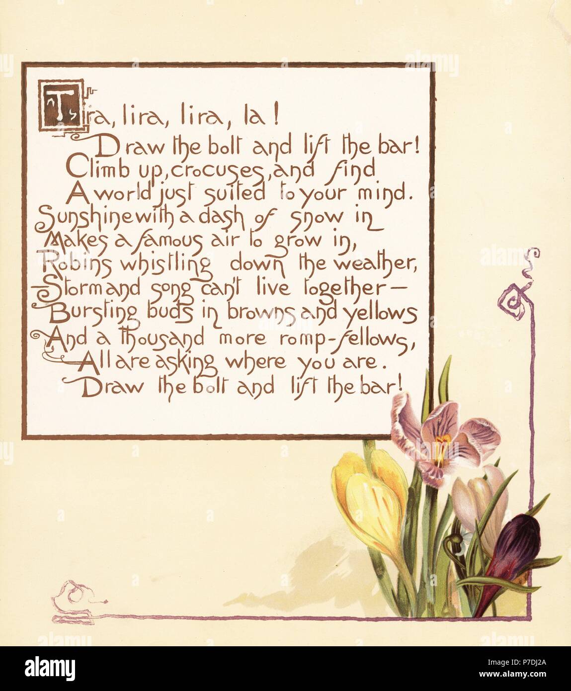Crocus flowers, Crocus sativus, and calligraphic poem. Chromolithograph by Louis Prang from Alice Ward Bailey's Flower Fancies, Boston, 1889. Illustrated by Lucy Baily, Eleanor Ecob Morse, Olive Whitney, Ellen Fisher, Fidelia Bridges, C. Ryan and F. Schuyler Mathews. Stock Photo