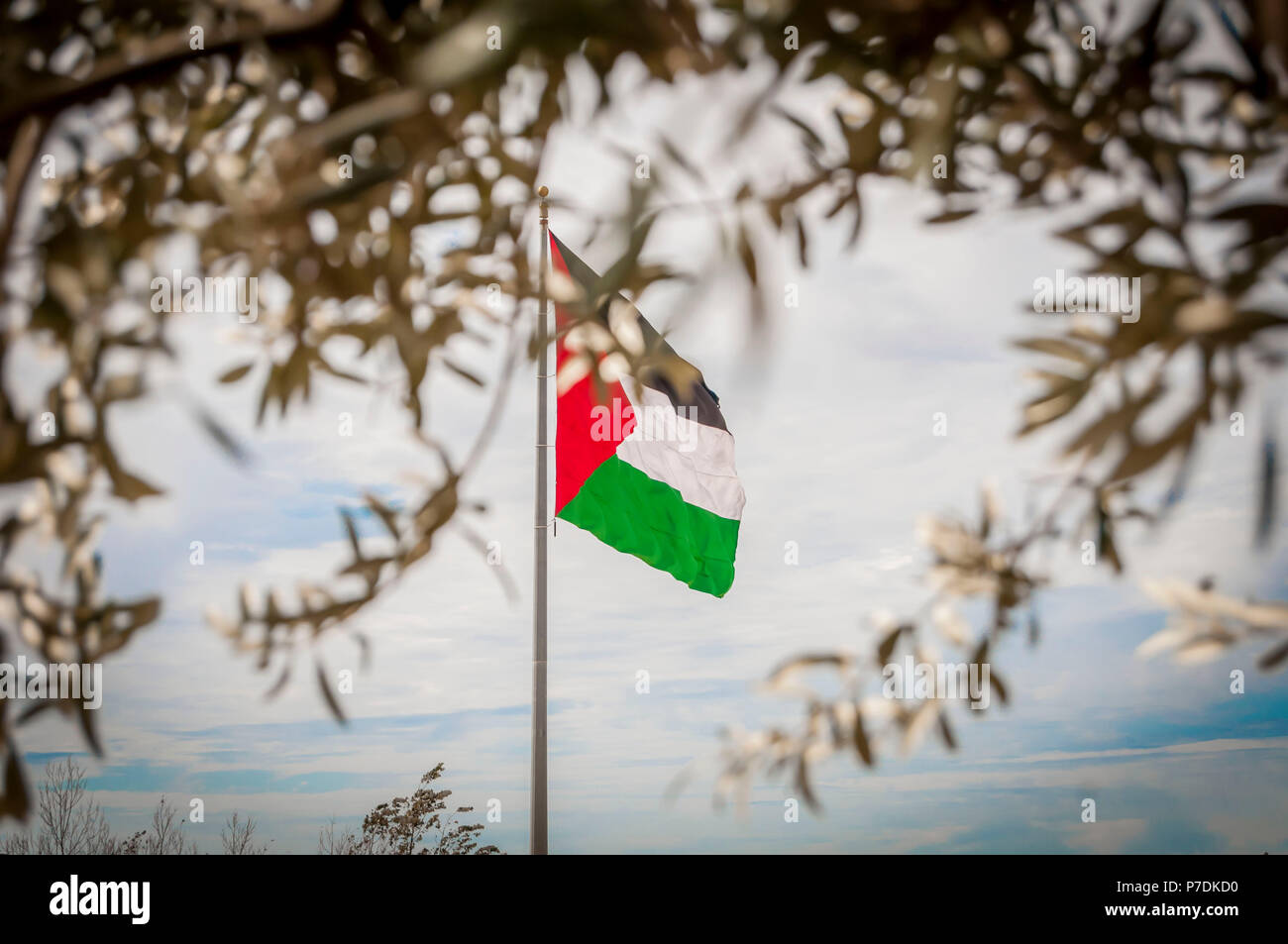 Palestinian flag sky hi-res stock photography and images - Alamy