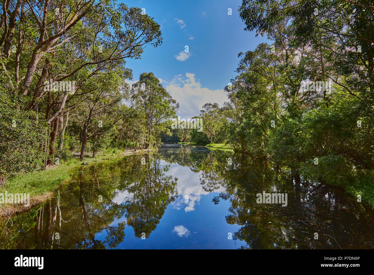 A river in the autumn near Coffs Harbour with Gum trees on both sides with blue sky and clouds reflecting in the water, New South Wales, Australia Stock Photo