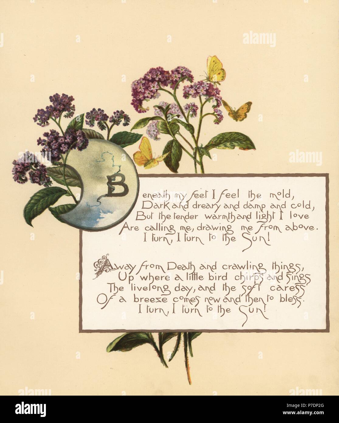 Calligraphic poem in box with flowers and butterflies. Chromolithograph by Louis Prang from Alice Ward Bailey's Flower Fancies, Boston, 1889. Illustrated by Lucy Baily, Eleanor Ecob Morse, Olive Whitney, Ellen Fisher, Fidelia Bridges, C. Ryan and F. Schuyler Mathews. Stock Photo