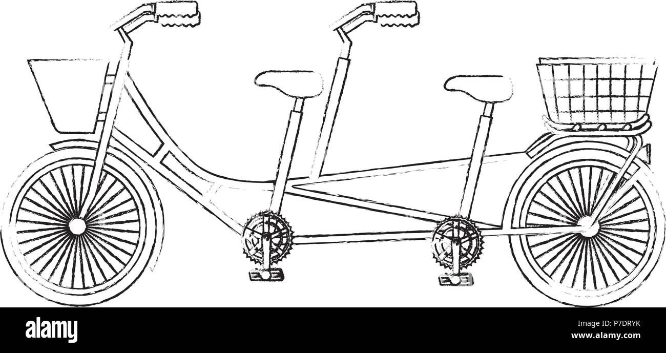 classic tandem bicycle with basket vector illustration sketch Stock ...