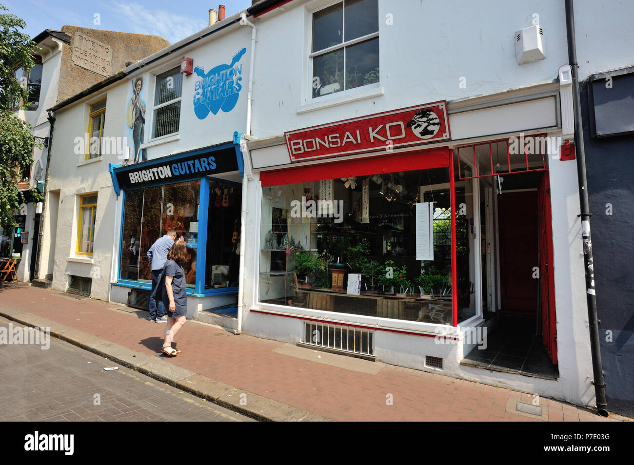 Bonsai Ko shop in Brighton, English Seaside Town, Brighton & Hove, East