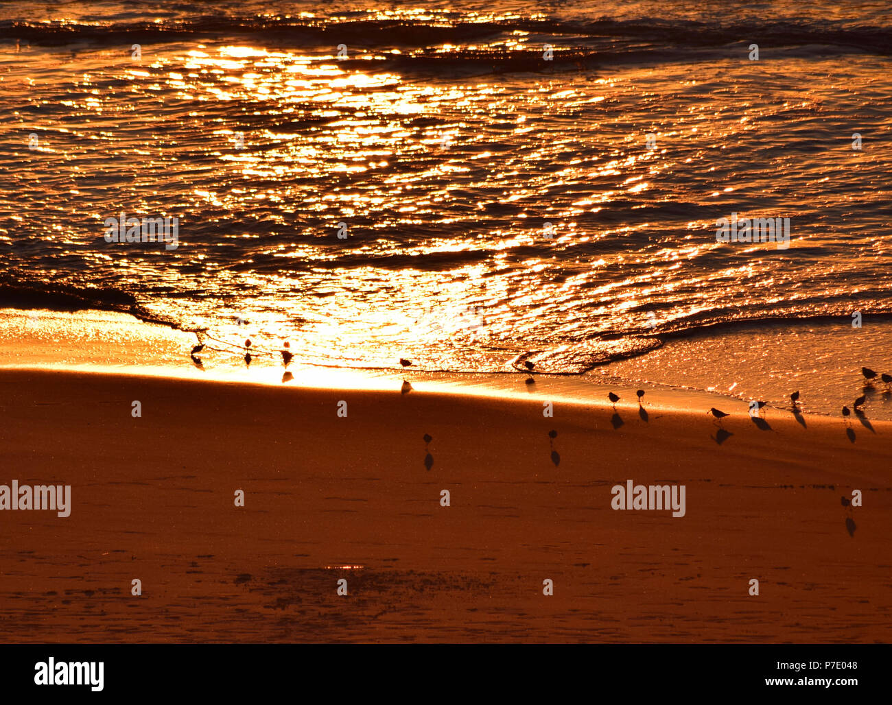 Carmel beach seascape hi-res stock photography and images - Alamy