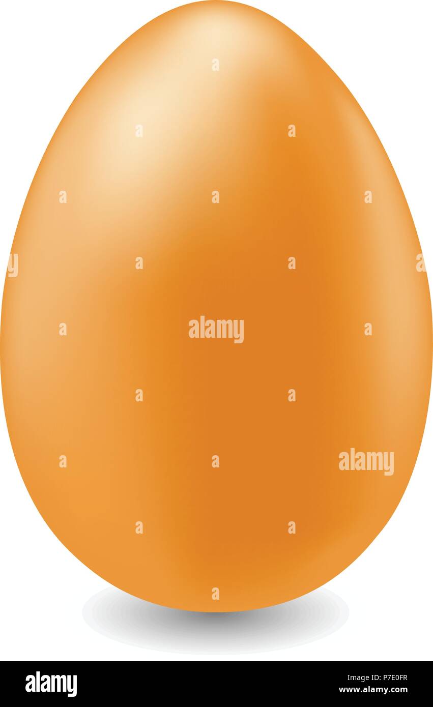 Brown egg isolated on white background Stock Vector