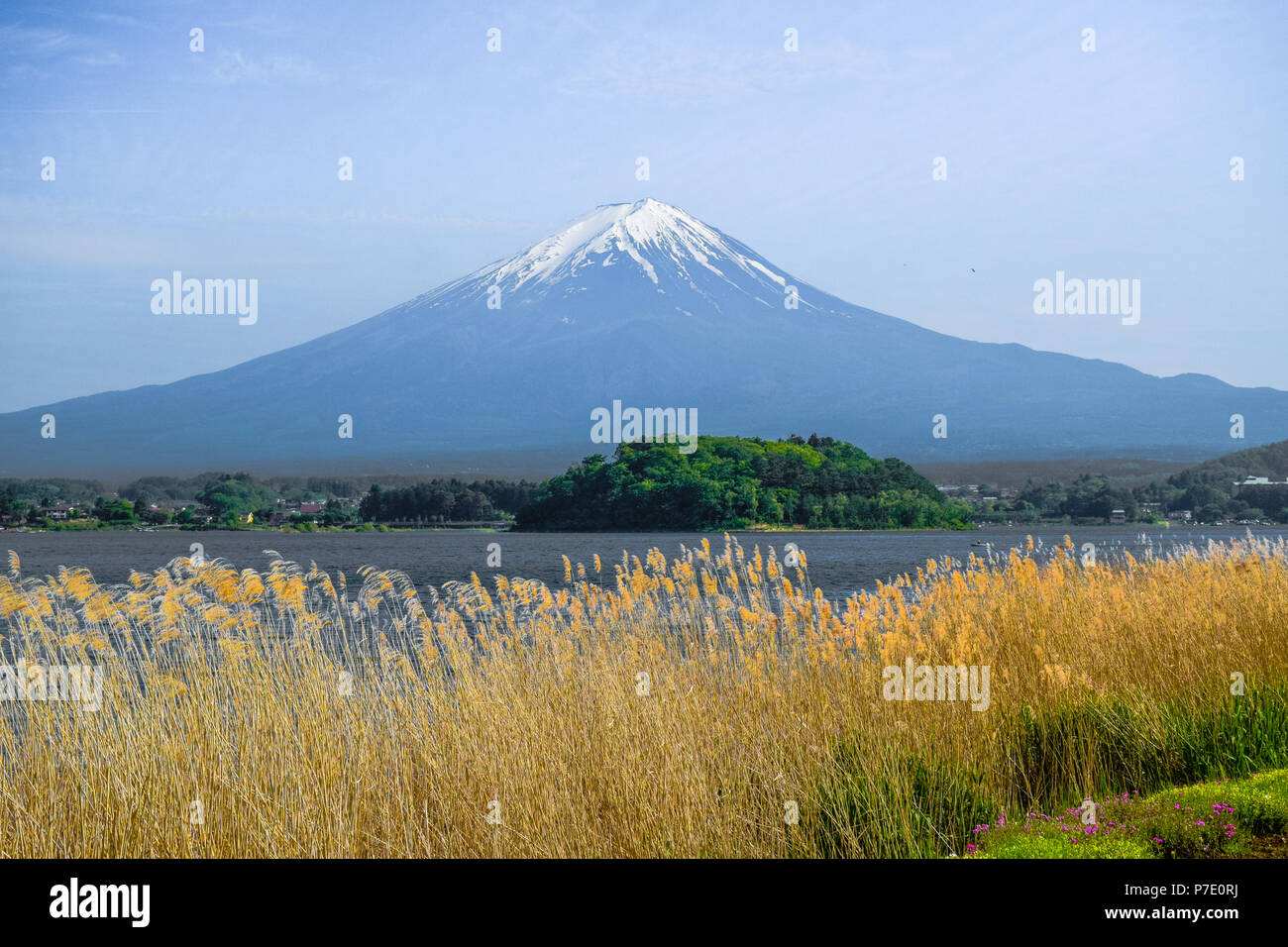 The famous mount Fuji view in the clear blue sky from Kawaguchiko lake ...