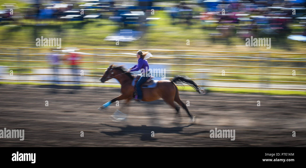 A cowgirl races her horse to toward the finish line during a barrel racing competition. The photo is a panning type of shot with a blurred background. Stock Photo