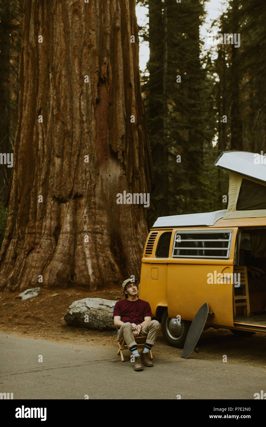 Man sitting by camper van under sequoia tree, Sequoia National Park, California, USA Stock Photo