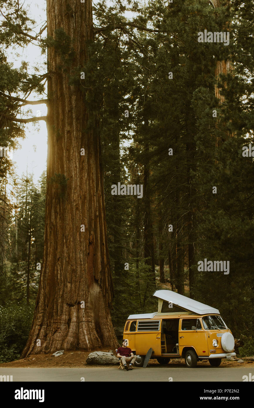 Man sitting by camper van under sequoia tree, Sequoia National Park, California, USA Stock Photo
