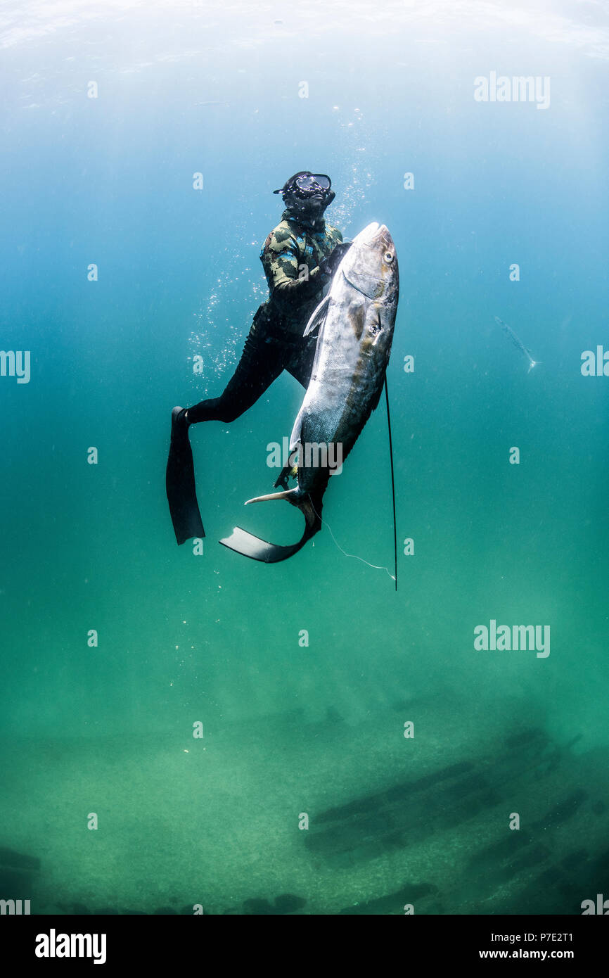 Spearfisherman ascends with his catch, Isla Mujeres, Quintana Roo, Mexico Stock Photo