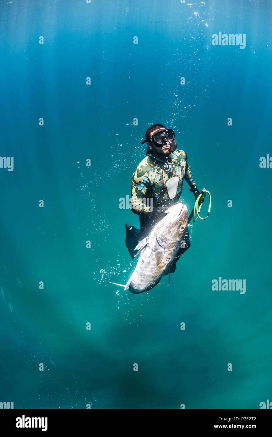 Spearfisherman ascends with his catch, Isla Mujeres, Quintana Roo, Mexico Stock Photo