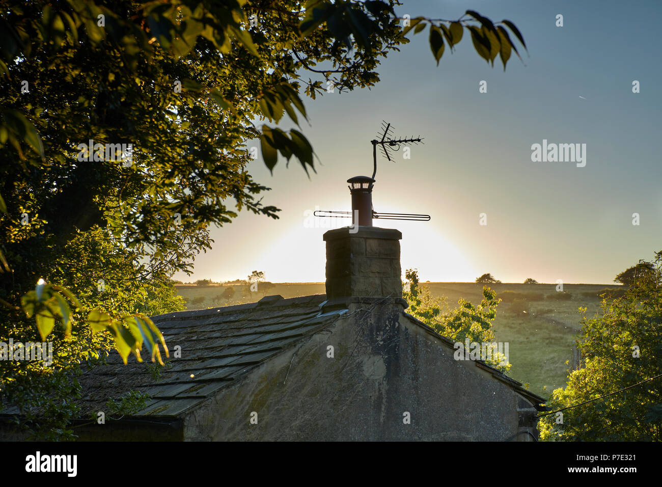 Moorland Cottage eve with dust and flying things highlighted by the backlit sun. Nidderdale Stock Photo