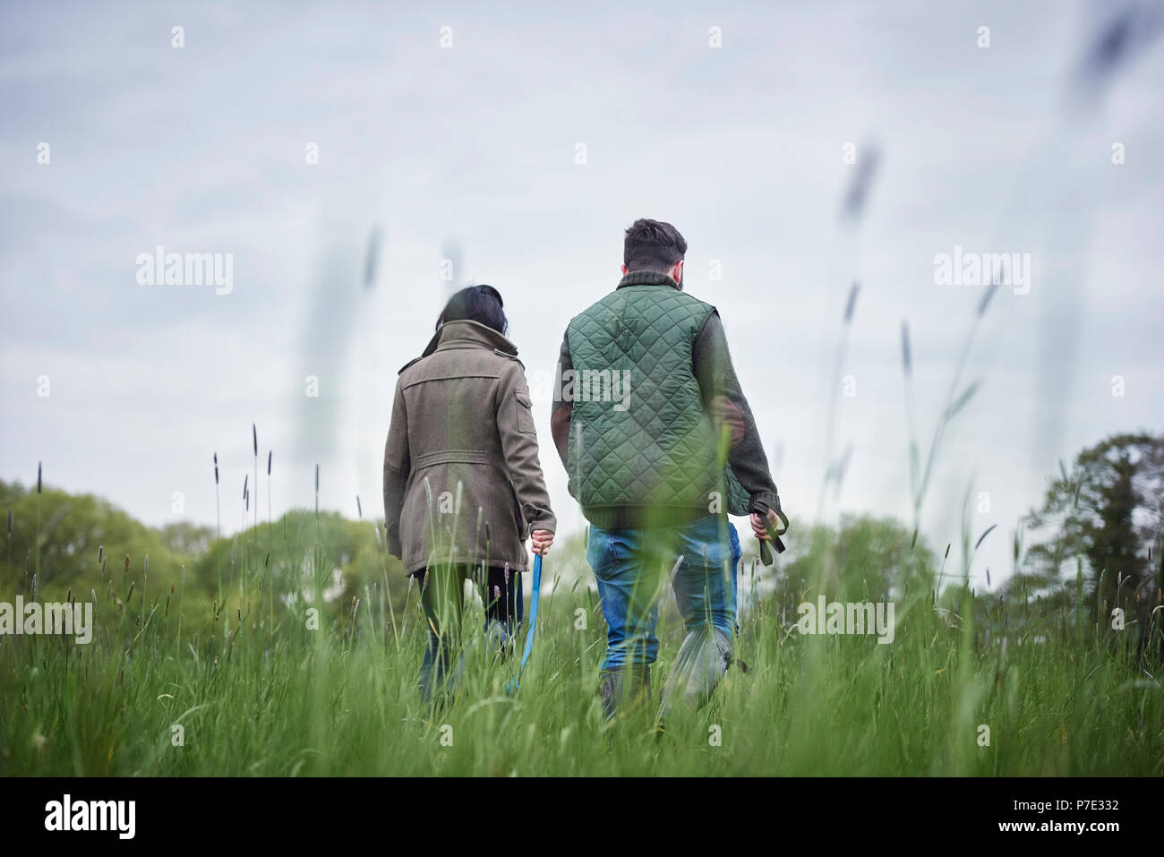 Man and woman walking in field, rear view Stock Photo