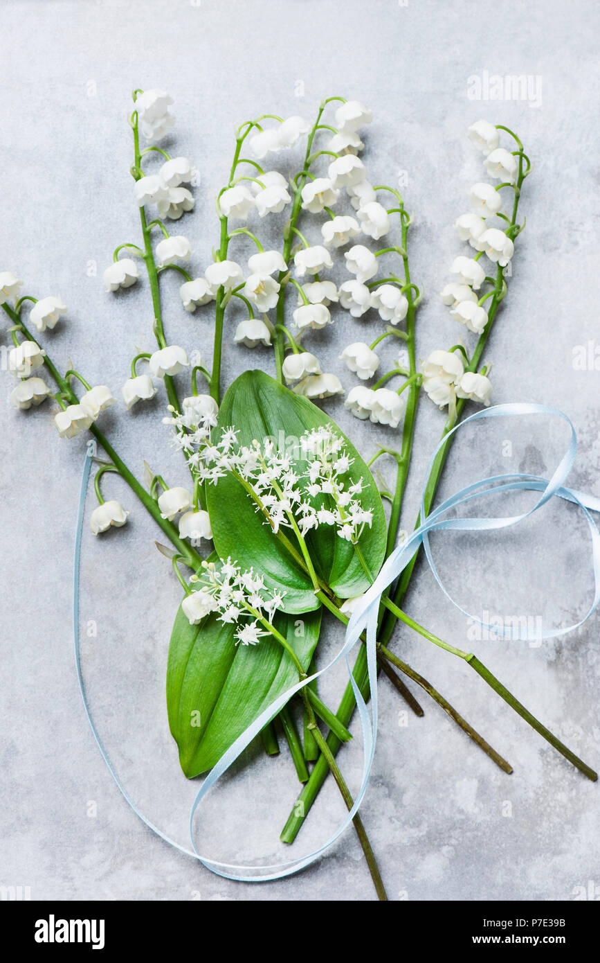 Lily of the valley cut flowers, leaves and ribbon Stock Photo