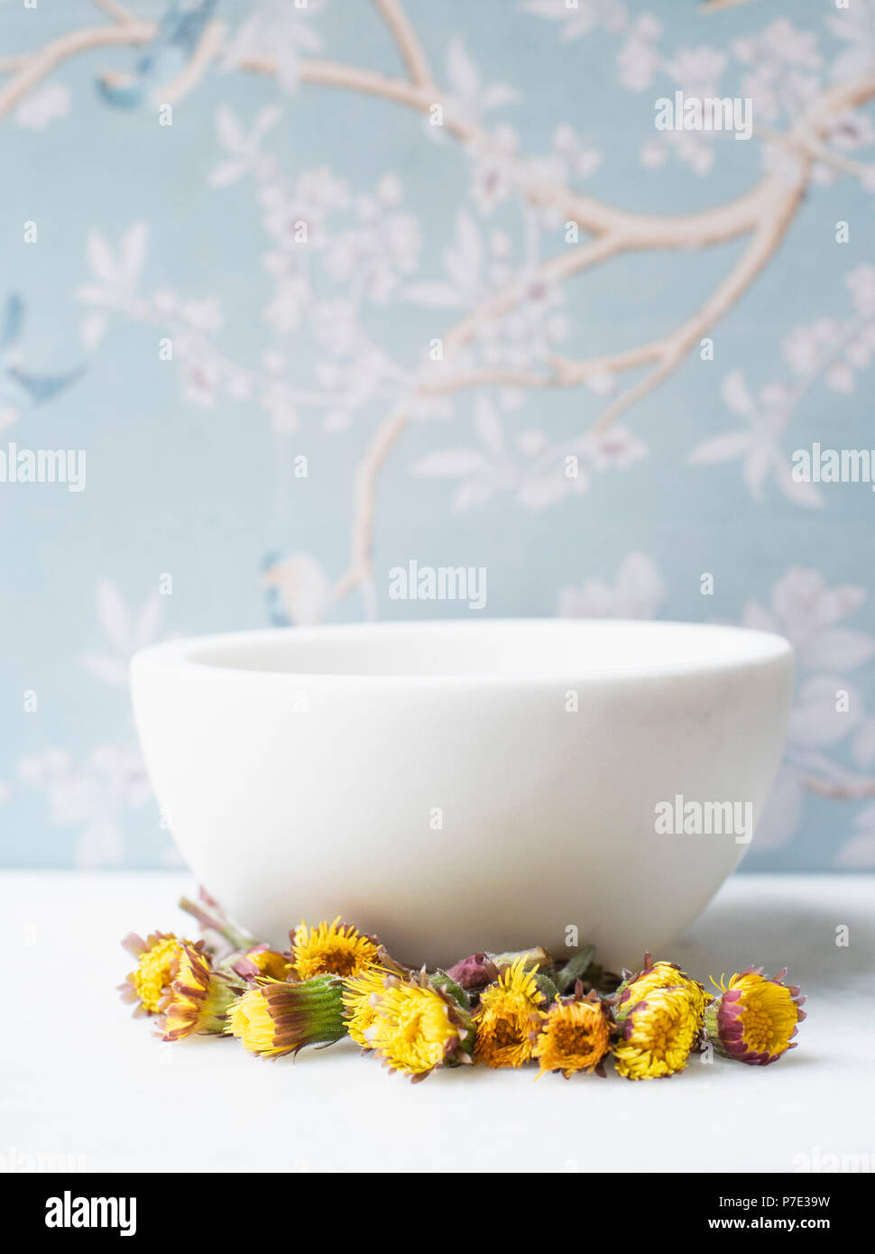 Dandelions by ceramic bowl Stock Photo
