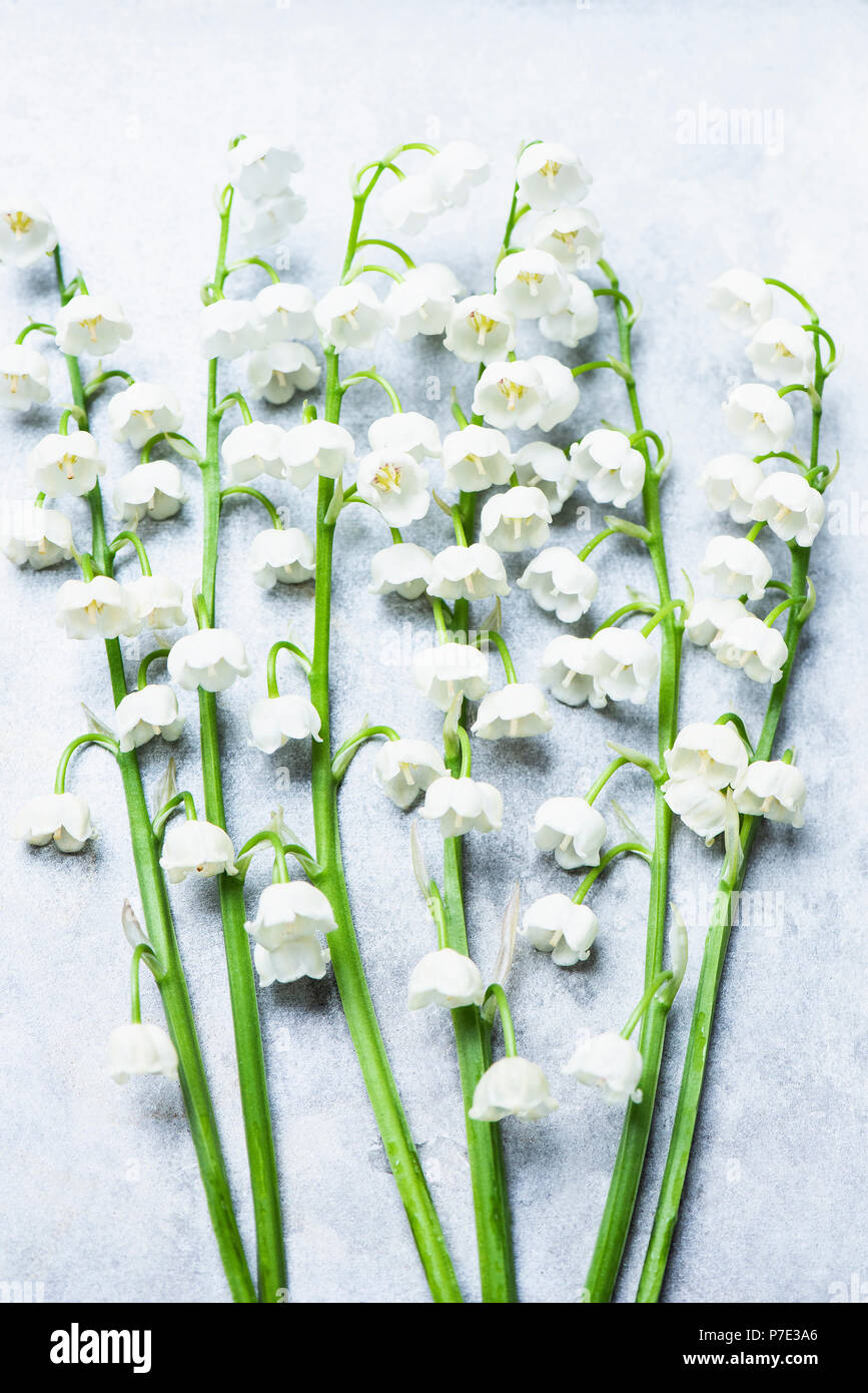 Lily of the valley flowers on white background Stock Photo