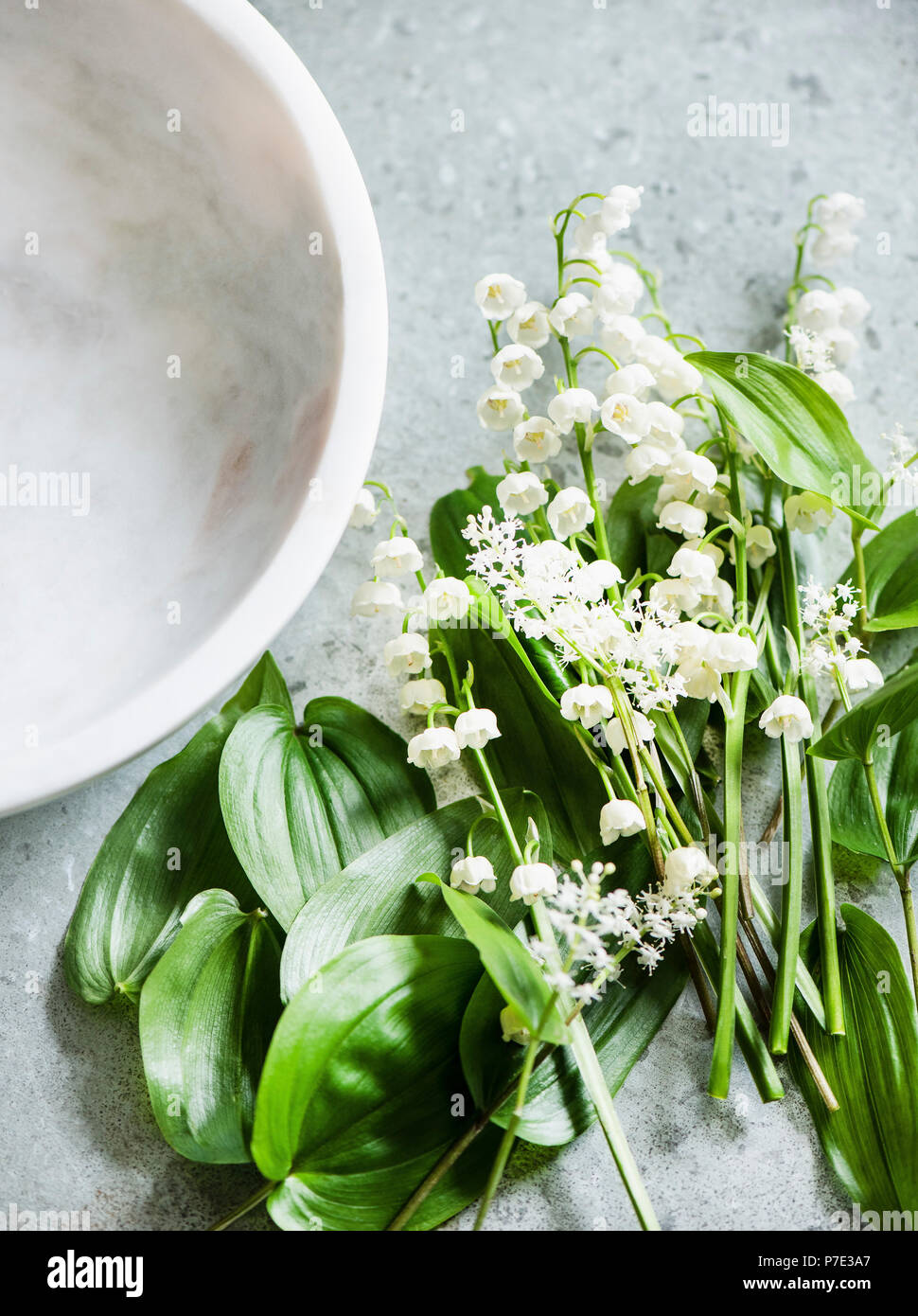 Lily of the valley cut flowers and leaves, overhead view Stock Photo