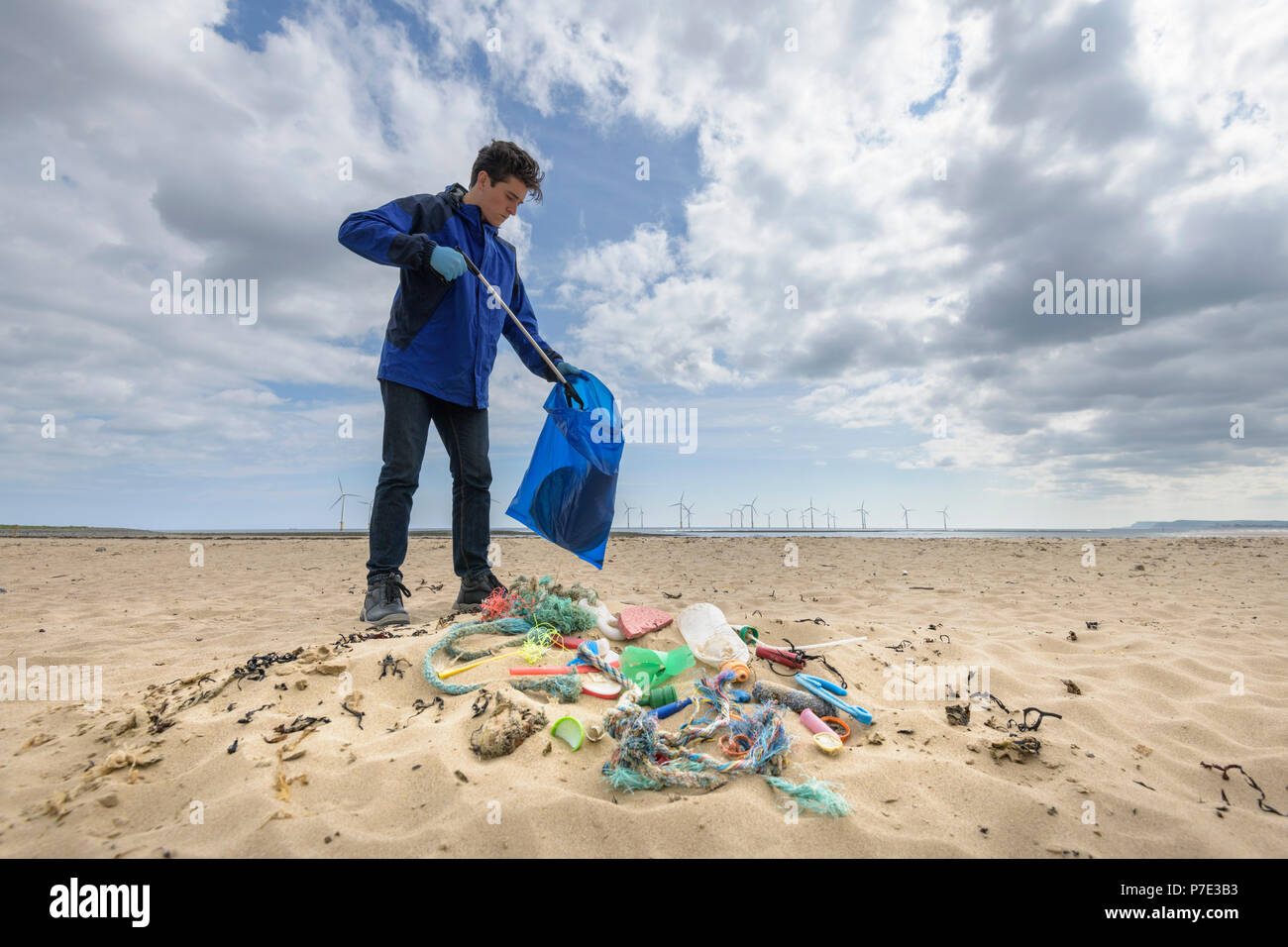 Man picking up plastic pollution collected on beach, North East England, UK Stock Photo