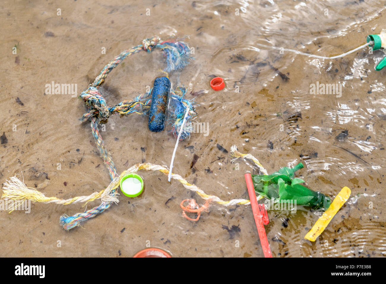 Plastic pollution in shallow sea water, North East England, UK Stock Photo