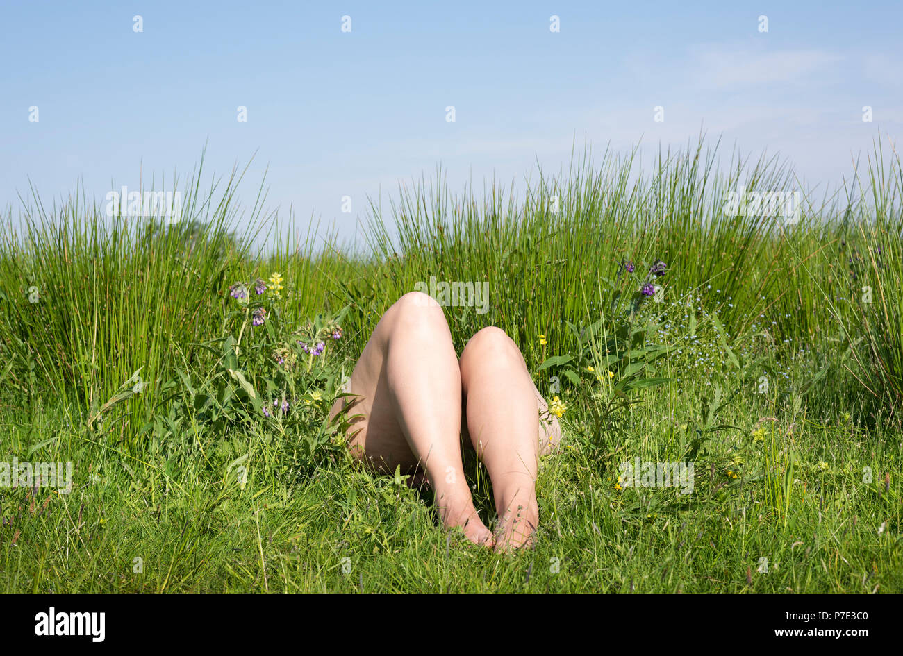 Woman relaxing on small island in spring, Frysian lake district, Goingarijp, Friesland, Netherlands Stock Photo