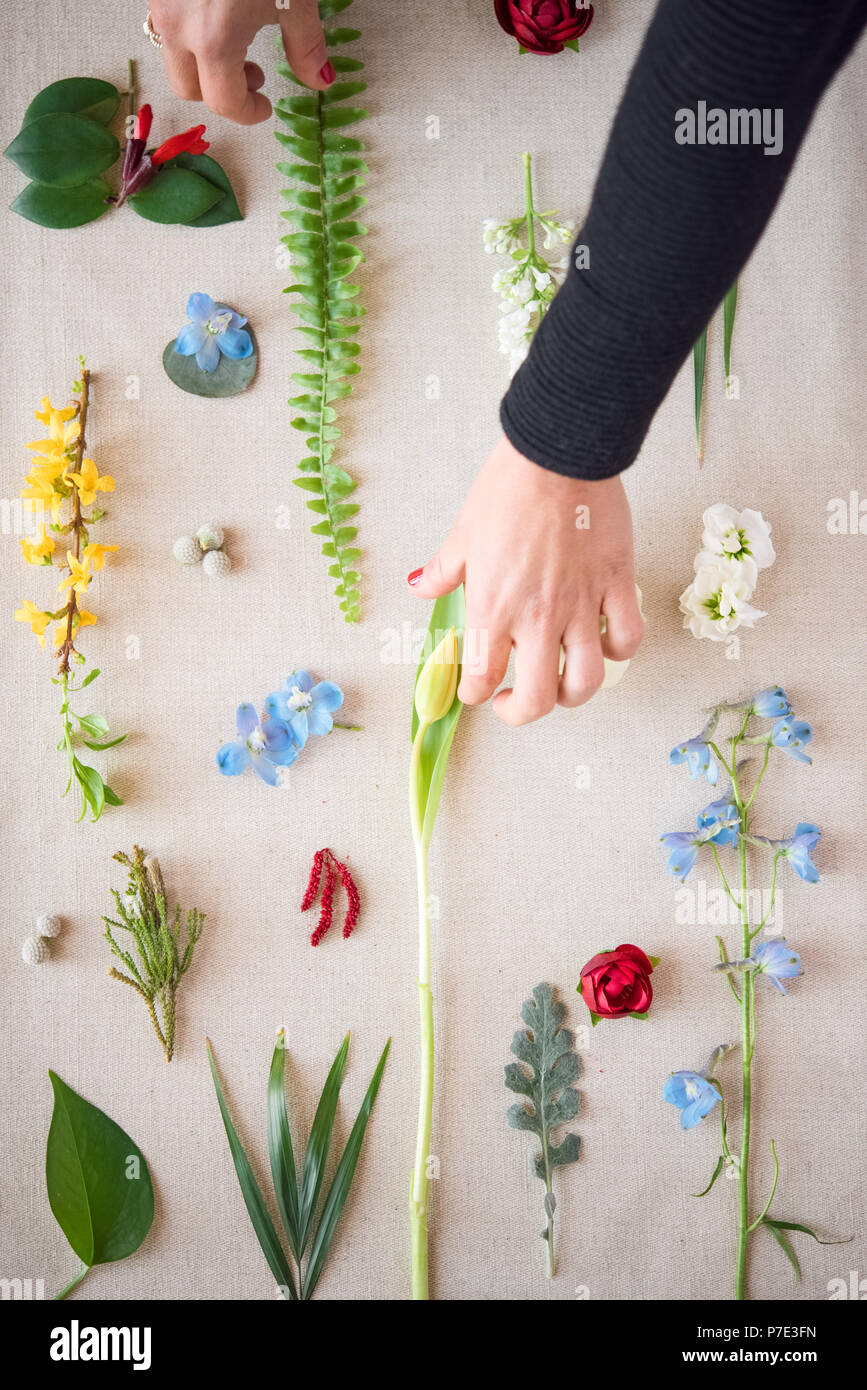 Woman arranging flower heads and leaf stems on textile, detail of hands, overhead view Stock Photo
